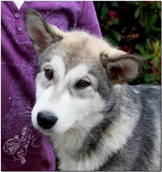 Onni1 6-2010 1.jpg